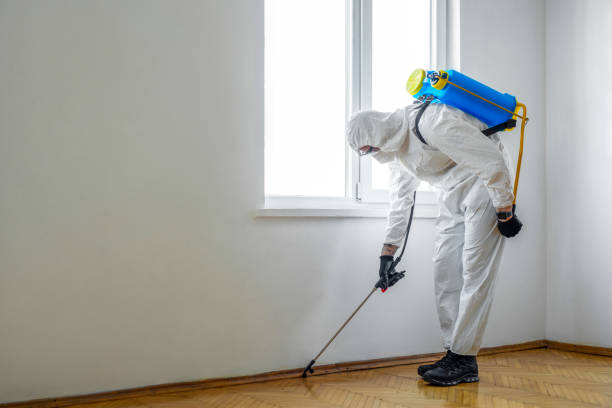 Professional Pest Control in Bel Air South, MD